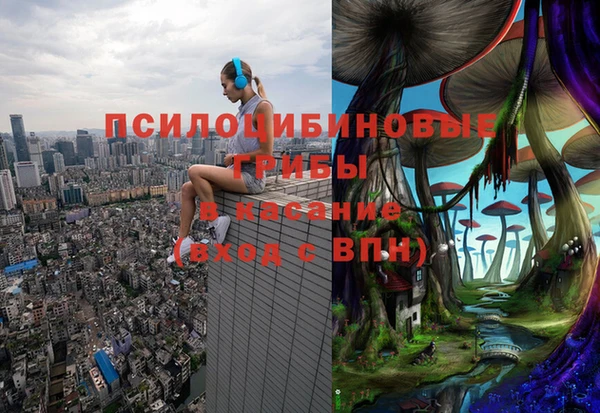 spice Алзамай