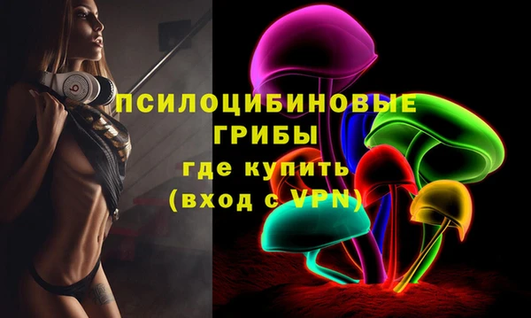 амф Михайловск