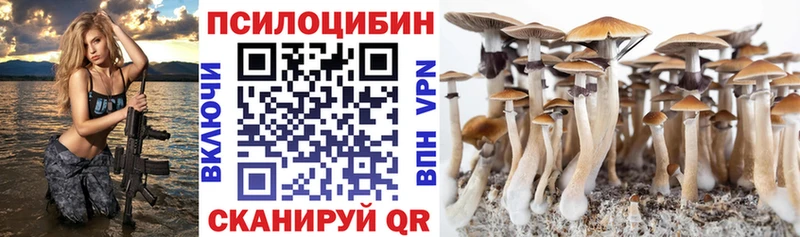 Псилоцибиновые грибы GOLDEN TEACHER Агрыз