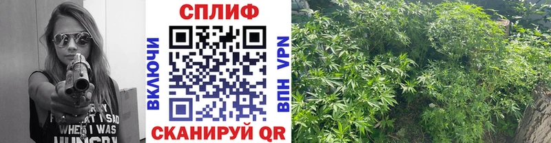 наркошоп  Агрыз  Шишки марихуана тримм 